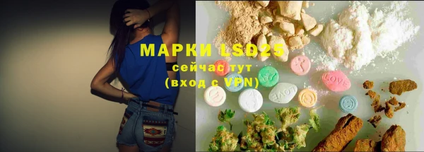 гашик Богданович