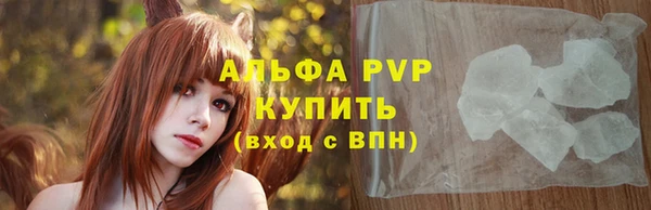 гашик Богданович