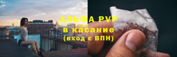гашик Богданович