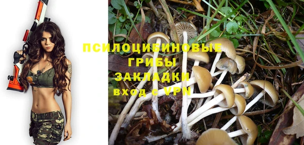дурь Богородицк