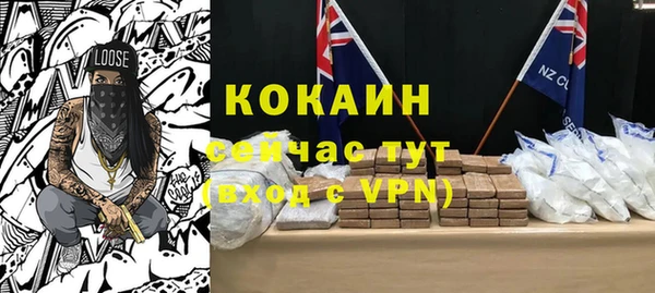 гашик Богданович