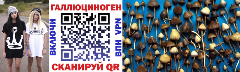 Купить где  Орск  Псилоцибиновые грибы мухоморы 